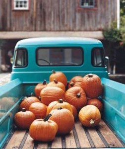 Spiced lattes and Saturday trips to the pumpkin patch!