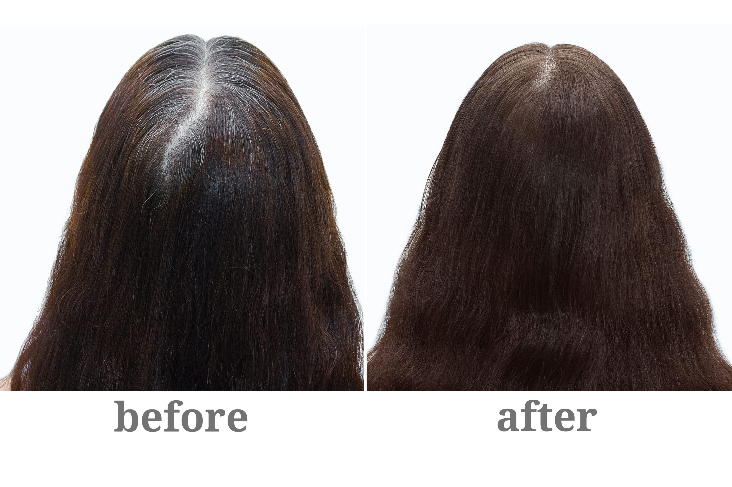 “Before and after gray coverage hair color using Keune Tinta Color shades 6.1 and 7.19 at Salon International in Mount Pleasant, SC.”